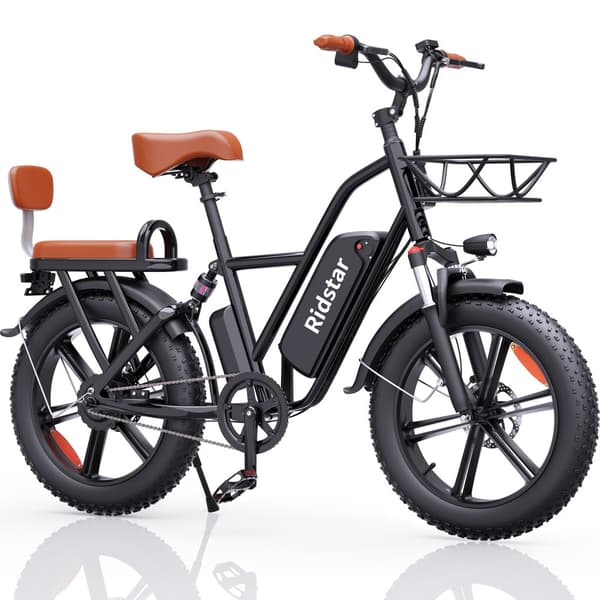 Elcykel RIDSTAR FM001, 2 sæder, 20", 1000W motor, 48V 15Ah batteri, tykke dæk