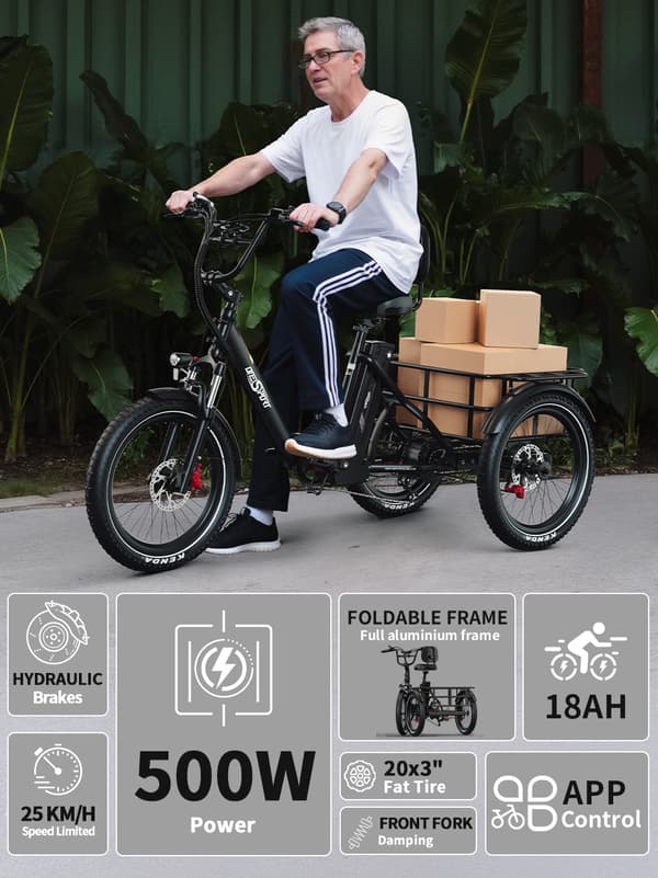 Elektrisk trehjulet cykel til last ONESPORT OT30 Pro, 500W 48V 18Ah, understøtter app