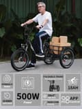 Miniatyrbillede 11 af 11: Elektrisk trehjulet cykel til last ONESPORT OT30 Pro, 500W 48V 18Ah, understøtter app