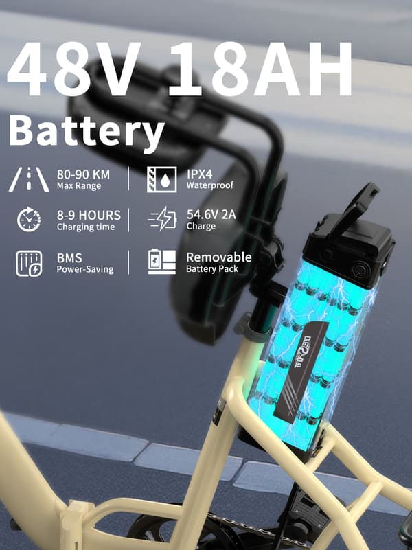 Elektrisk trehjulet cykel til last ONESPORT OT30 Pro, 500W 48V 18Ah, understøtter app