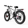 Miniatyrbild 2 av 11: DUOTTS F26 20AH batteri, 2*750W motor, 120 km räckvidd, SHIMANO 7-växlad, hydrauliska skivbromsar, elcykel