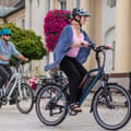 Miniatyrbillede 6 af 8: City Elcykel JOBOBIKE Pendler, 250W 36V 18.2Ah, Step-through