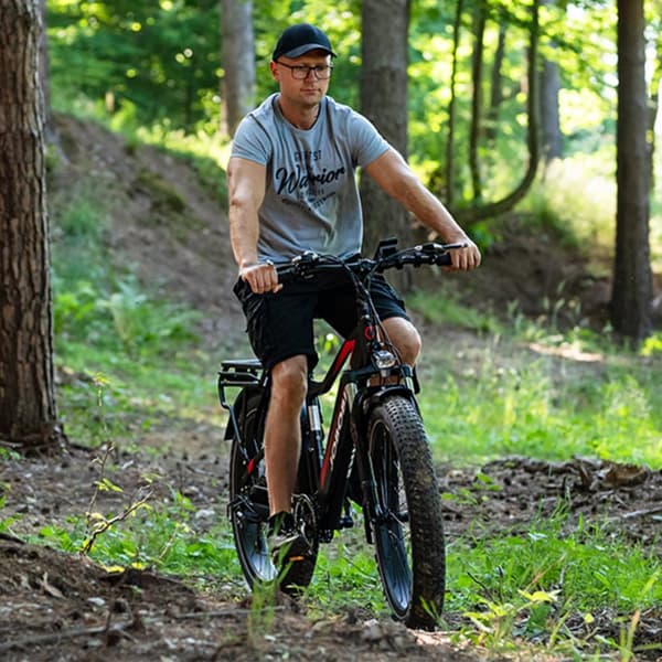 Elektrisk Fatbike til mænd JOBOBIKE Robin, alle terræn, Bafang 250W, 48V 13Ah batteri