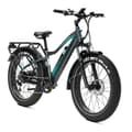 Miniatyrbillede 2 af 6: Elektrisk Fatbike til mænd JOBOBIKE Robin, alle terræn, Bafang 250W, 48V 13Ah batteri