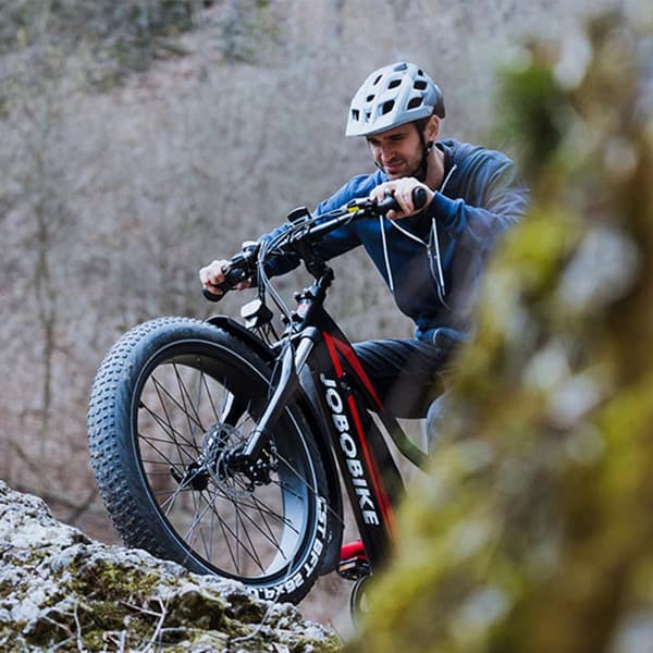 Sähköinen fatbike JOBOBIKE Robin ST, läpiajo, Bafang 48V 250W 13Ah, naisille