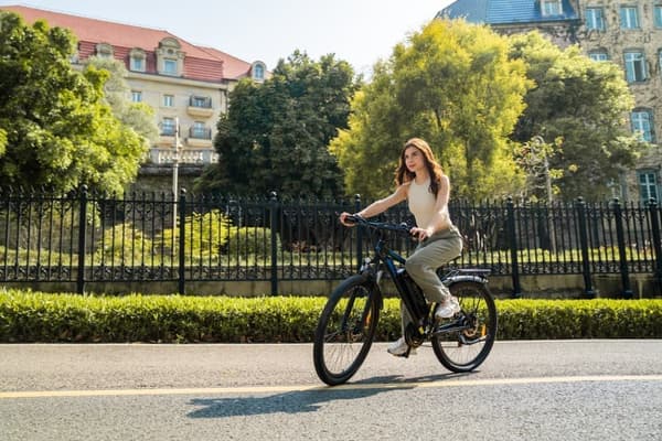 DUOTTS C29 elcykel: 750 W motor, 48 V 15 Ah batteri, terräng, för vuxna, IPX5, räckvidd 50–100 km, 29" däck, 29" aluminiumram
