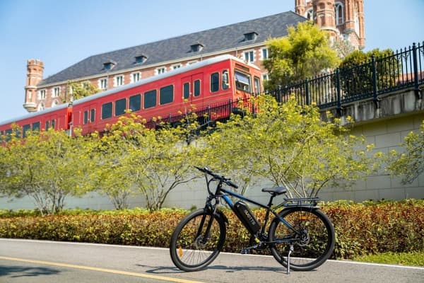 DUOTTS C29 elcykel: 750 W motor, 48 V 15 Ah batteri, terräng, för vuxna, IPX5, räckvidd 50–100 km, 29" däck, 29" aluminiumram