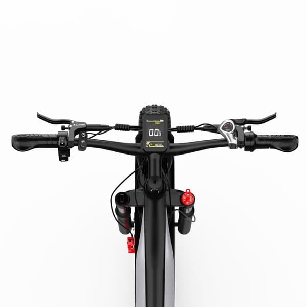DUOTTS F26 Elcykel: 750W*2 Dubbla Motorer, 48V 20Ah Samsung Batteri, 26-tums Breda Däck, 120 km Räckvidd, IP65 Vattentäthet