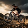 Miniatyrbillede 5 af 11: PULUMA PE86pro Dual Drive Elcykel - 2×500W motorer, 48V20Ah Samsung batteri, 50 km / t, Shimano 7-trins gearkasse, DNM affjedringssystem