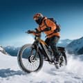 Miniatyrbillede 6 af 11: PULUMA PE86pro Dual Drive Elcykel - 2×500W motorer, 48V20Ah Samsung batteri, 50 km / t, Shimano 7-trins gearkasse, DNM affjedringssystem