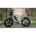 Miniatyrbild 5 av 6: ENGWE M20 - Elcykel, 1000W 48V13AH/ 7 Växlar - Topp 28mph, 20" × 4.0 Breda däck, Räckvidd 75km - Vit