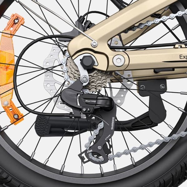 Växelcykel ENGWE L20 3.0 PRO - 250W Batteri 48V15AH 20-tums Däck TÜV Certifierat Hydrauliska Skivbromsar - Guld