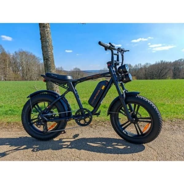 ELEKTRISK CYKEL ENGWE M20 Räckvidd 50-75 km Batteri 48V 13Ah Motor 250W helfjädring Däck 20 tum VTT Fat bike Svart