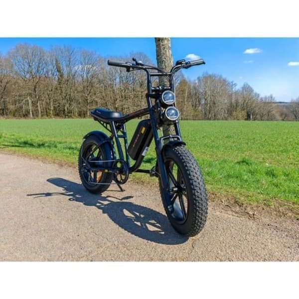 ELEKTRISK CYKEL ENGWE M20 Räckvidd 50-75 km Batteri 48V 13Ah Motor 250W helfjädring Däck 20 tum VTT Fat bike Svart