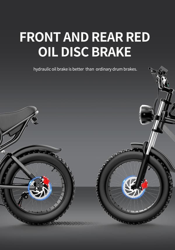Ridstar Q20 elcykel 1000W, 48V 20Ah batteri, 20 "* 4.0 fettdäck, max räckvidd 90 km, hydrauliska skivbromsar fram och bak, Shimano 7-växlad
