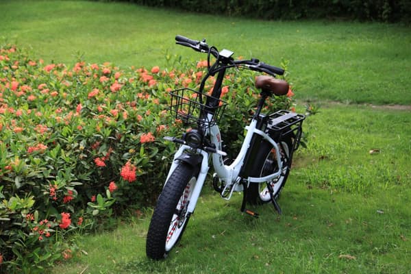 DRVETION CT20 elcykel 15AH batteri, 80 km räckvidd, 750W motor, 25 km/h hastighet, 20*4,0 tums fatdäck, SHIMANO 7 växlad - vit