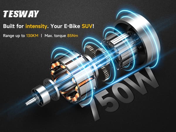 TESWAY X5 hopfällbar elcykel 25AH batteri, 750W motor, 130 km räckvidd, 20*4,0 tums fatdäck, SHIMANO 7-växlad - Röd