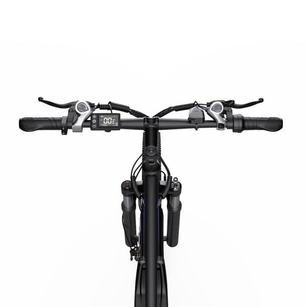 DUOTTS C29 29'' elektrisk mountainbike til voksne, 100 km udholdenhed, 15AH batteri, 750W motor, 21 gear, egnet til højde: 170-200 cm