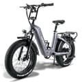 Miniatyrbild 1 av 11: Fafrees F20 Master City Elcykel, 22,5 Ah Samsung batteri, 500W motor, dubbla stötdämpare, kolfiberram, 20"*4,0" däck, SHIMANO 7 Speed.