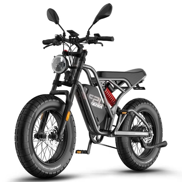 Fafrees F20 Ultra Adult Off-Road sähköpyörä, 750W moottori, 25Ah akku, 20*5.0 leveä rengas, SHIMANO 7 vaihdetta, hydraulijarru