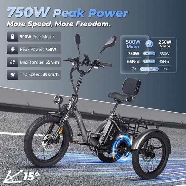 Fafrees F20 Mate elektrisk last trehjulet cykel, 750W motor, 23,45AH batteri, hydraulisk bremse, 20''*3,0'' dæk