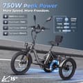 Miniatyrbillede 5 af 11: Fafrees F20 Mate elektrisk last trehjulet cykel, 750W motor, 23,45AH batteri, hydraulisk bremse, 20''*3,0'' dæk