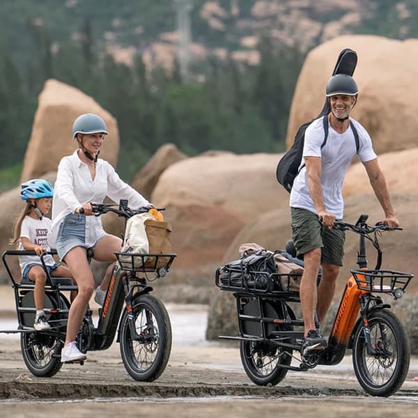 Lankeleisi Wombat-1 long tail cargo elcykel med momentsensor, 20Ah Samsung batteri, 1000W motor.