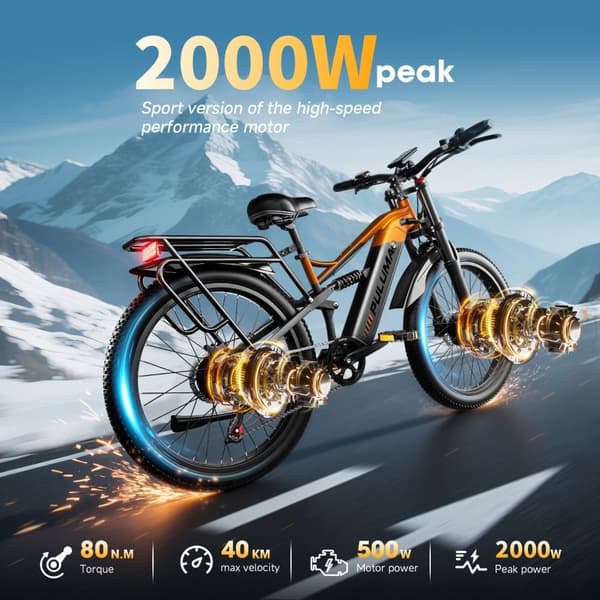 PULUMA PE86Pro Dual Drive Elcykel 500W * 2, 48V20AH batteri, räckvidd på 70-150km, 26 "* 3.0 terrängdäck, Hydraulisk broms