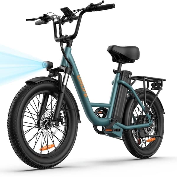 URLIFE E20 Vuxen Elcykel 250W Motor Mäns Elcykel 48V 13AH Batteri E-tricycle 20 inch Däck Mäns ebike