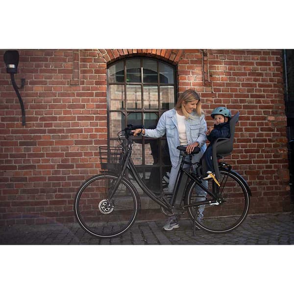 Hamax Ställ Barncykelstol Amiga Silver Max 22 kg Pojke