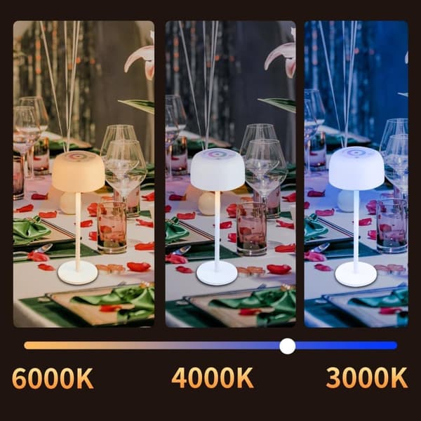 OBOSOE Trådlös Bordslampa, Trådlös Flasklampa, 3 Färger Steglös Dimmer Vinhalsflasklampa med RGB-Ljus, Laddbar Tackkontroll Flaskljus för Hem, Barer,