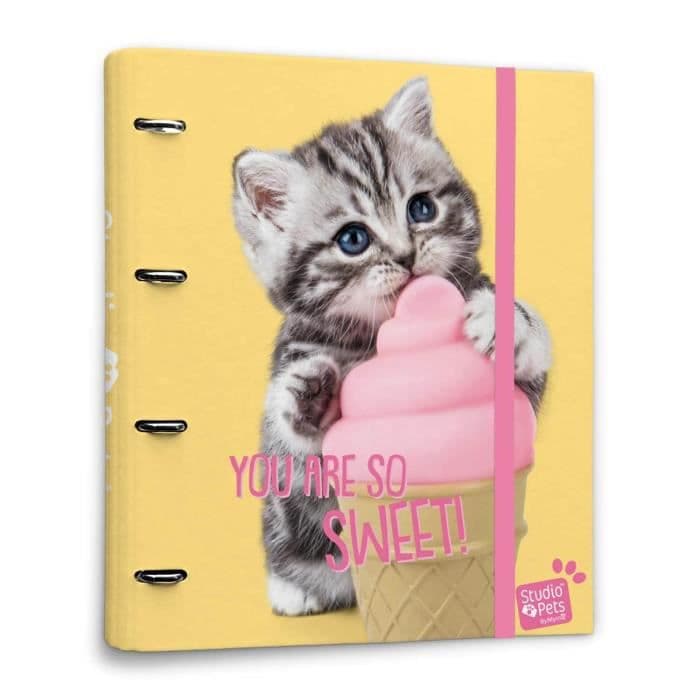 Studio Husdjur Katt Lovely Kittens 4 Ringpärm