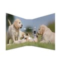 Miniatyrbild 3 av 4: HERMA 7165, Förvaring, Kartong, A4, D-ring, 7 cm