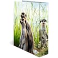 Miniatyrbild 2 av 2: HERMA 20048 A4 Meerkat Djurpärm 7 cm bred Tillverkad av kartong med invändigt tryck för skola och kontor