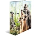 Miniatyrbild 1 av 2: HERMA 20048 A4 Meerkat Djurpärm 7 cm bred Tillverkad av kartong med invändigt tryck för skola och kontor