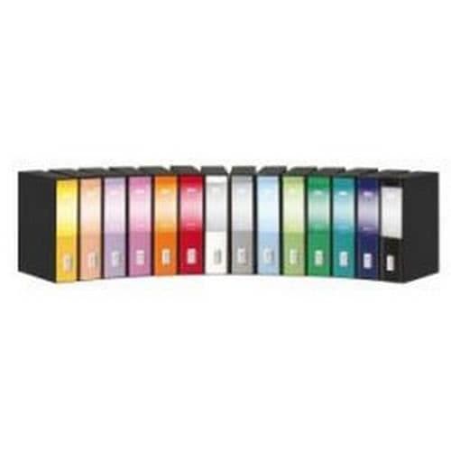 CF6 REGISTRATORI DOX 2 NERO REXEL 26210