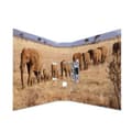Miniatyrbild 1 av 2: Mapp - herma - djur från Afrika - A4 - Svart - Med ringar