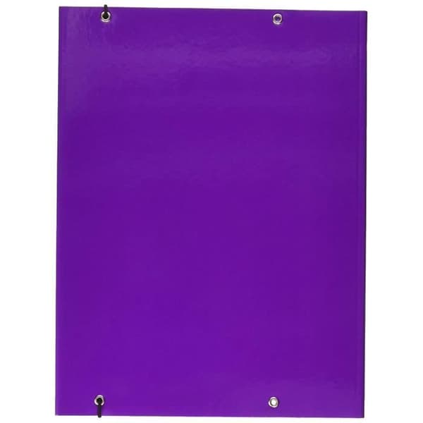 Leitz Chemise med 3 flikar, kapacitet 150 ark, format 25 x 35 cm, elastisk stängning, plastad kartong,