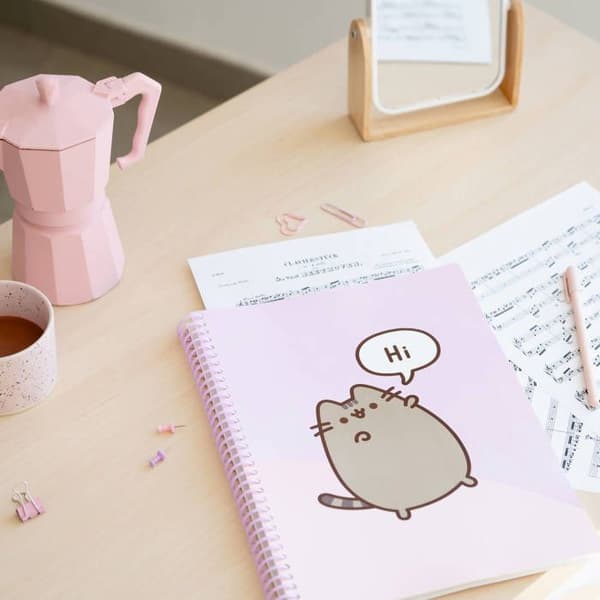 Pusheen - A4 A4 pärm med resår + 30 transparenta pärmar