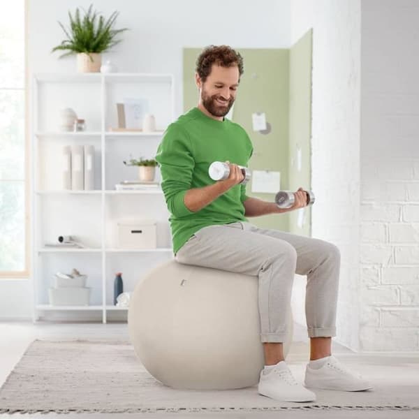 Sittball - Leitz - 65 cm - Ljusgrå - Stöder upp till 120 kg - Kullagringssäker TÜV