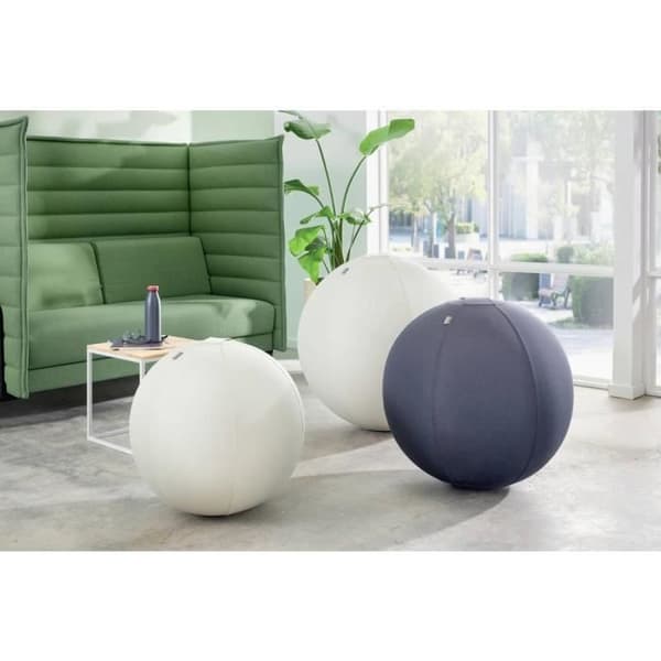 Sittball - Leitz - 65 cm - Ljusgrå - Stöder upp till 120 kg - Kullagringssäker TÜV