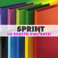 Miniatyrbild 2 av 4: Favorit - 400152300 - Sprintpaket med 4 30 mm runda polypropenringar 22 x 30 cm