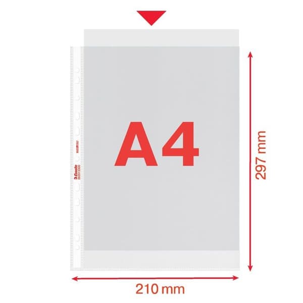 Bindning - plastpinne - transparent - Esselte-omslag - 392513300 - 25 Transparent ficka - A4