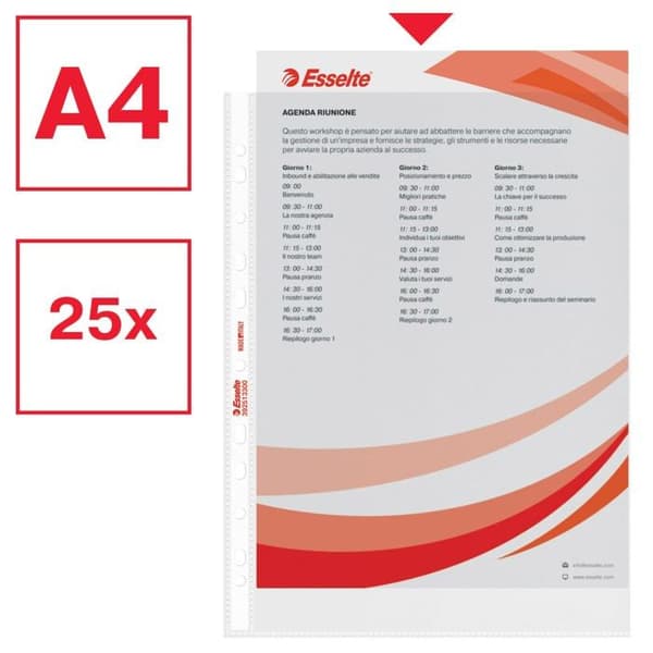 Bindning - plastpinne - transparent - Esselte-omslag - 392513300 - 25 Transparent ficka - A4