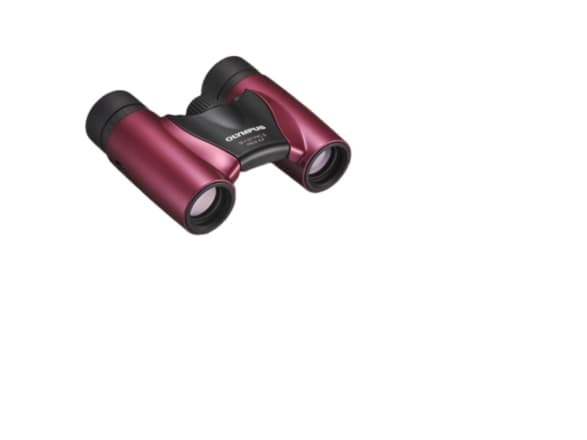 Olympus - Kikkerter 8 x 21 RC II - tak - magenta