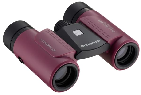 Olympus - Kikkerter 8 x 21 RC II WP - vanntett - tak - magenta