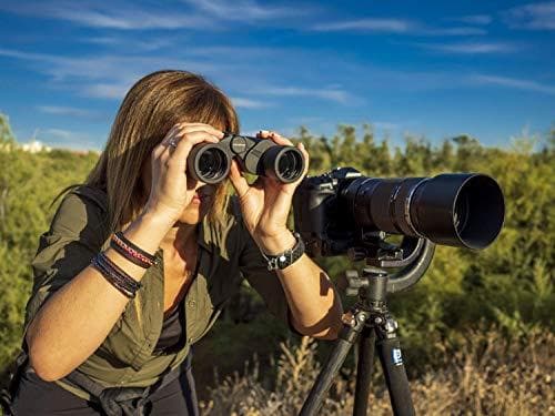 Olympus 8x40 S kikare med bärrem, fodral och 15 års tillverkargaranti. Klara bilder, naturliga färger, brett synfält, lätt - perfekt för naturobservat