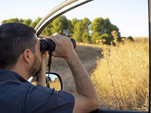 Olympus 8-16x40 S kikkert med bærerem, etui og 15 års producentgaranti. Klare billeder, naturlige farver, bredt synsfelt, let - ideel til naturobserva