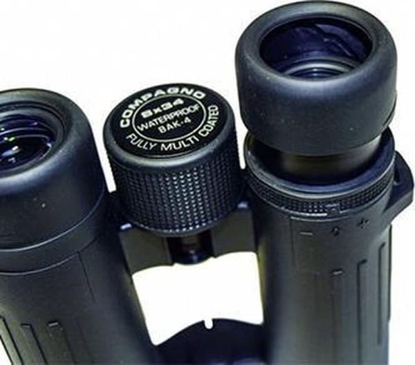 Braun Photo Technik Kikare Compagno 8X34 Wp