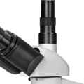 Miniatyrbillede 3 af 11: Bresser Mikroskop Trino Researcher 40x-1000x